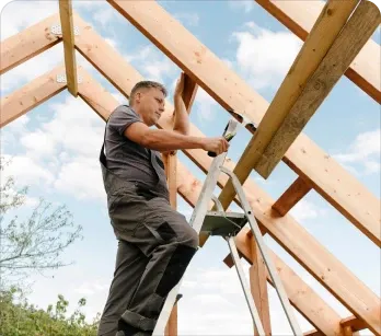 Construcción de Tejados y Cubiertas